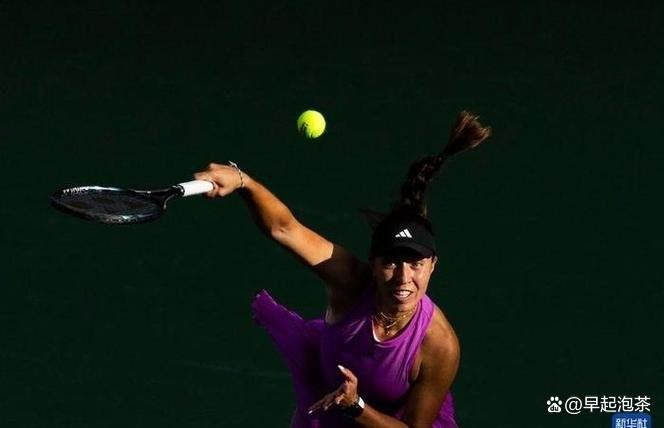 美网碾压澳网，蒂姆高光表现的简单介绍